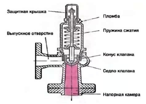 Принцип работы остиальных клапанов