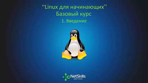 Принцип работы пинга и его роль в диагностике сетевых проблем