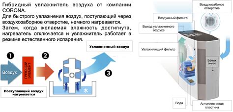 Принцип работы пролонгированной увлажняющей системы