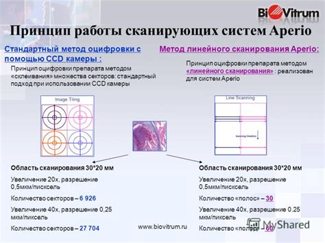 Принцип работы рекомбинантного препарата