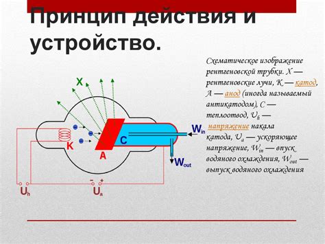 Принцип работы рентгеновской техники