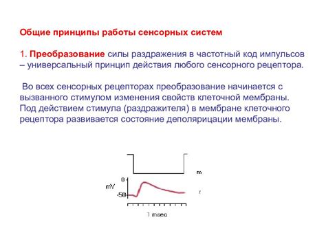 Принцип работы сенсорных способов обследования