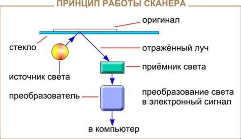 Принцип работы сканирования кода