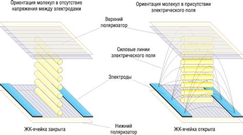 Принцип работы IPS матрицы