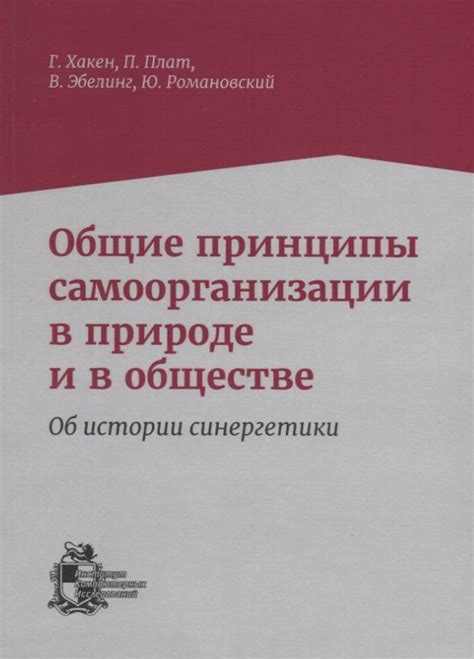 Принцип самоорганизации и горизонтальности в обществе саморазвивающейся системы