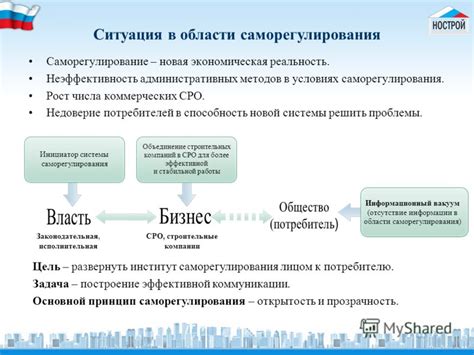 Принцип саморегулирования