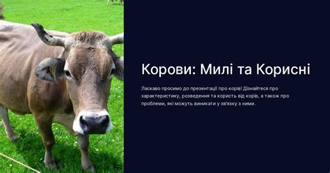 Припливы достатку та благополуччя: тлумачення сну про корів'яче молоко в відрі