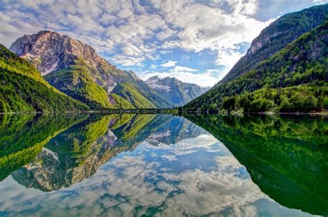 Природная красота в ярком свете