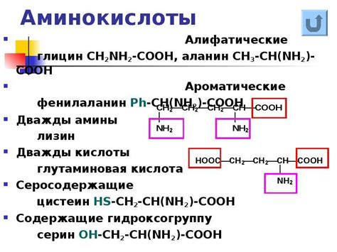 Природные источники пахучих веществ