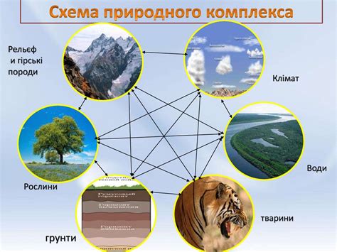 Природные компоненты, обеспечивающие высокую эффективность