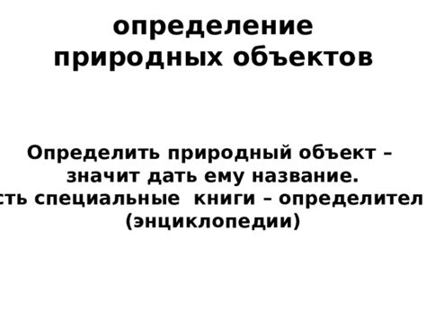 Природный объект: определение и разновидности