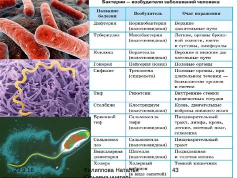 Присутствие бактерий и инфекций