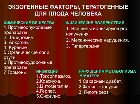 Присутствие внешних факторов в личной жизни: роль щебня в обители