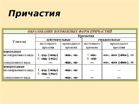 Причастия в русском языке: основные понятия