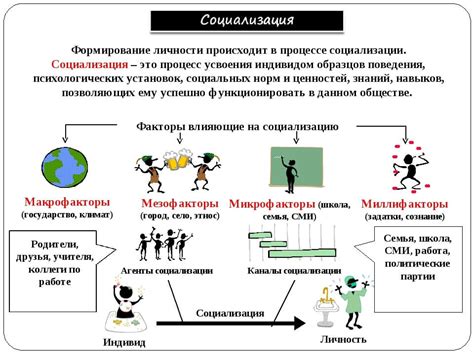 Причина пятая: социализация и привязанность