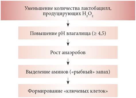 Причины возникновения "бак потек"