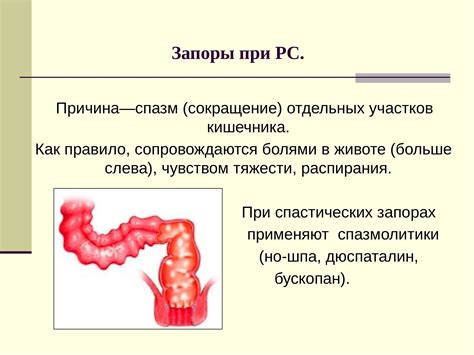 Причины возникновения голодных спазмов