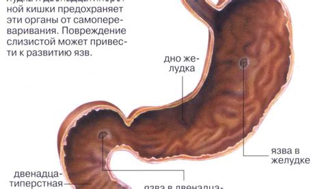 Причины возникновения зернистой слизистой желудка