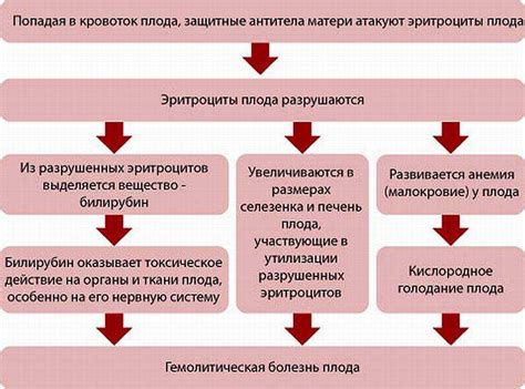 Причины возникновения конфликта резус-фактора