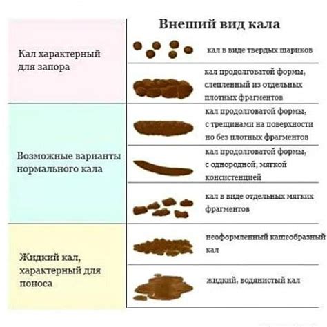 Причины возникновения мазевидного стула