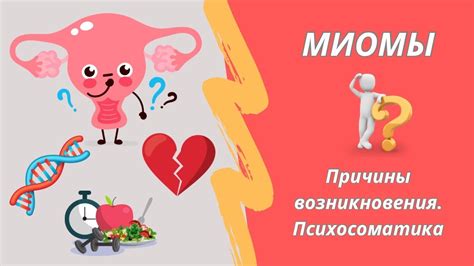 Причины возникновения миомы крови