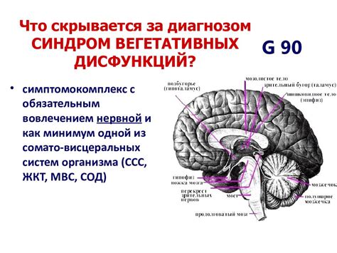 Причины возникновения надсегментарной вегетативной дисфункции