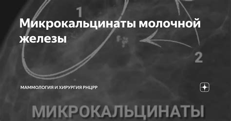 Причины возникновения оклеветанных молвой