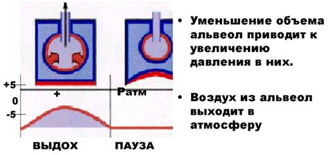 Причины возникновения парасептальной эмфиземы легких