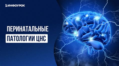 Причины возникновения перинатальной патологии ЦНС