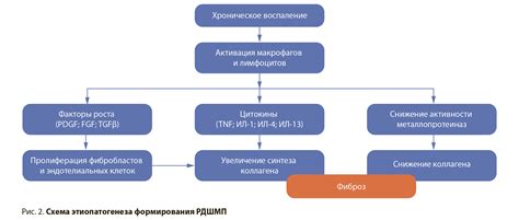 Причины возникновения рубцовой деформации ЛДПК