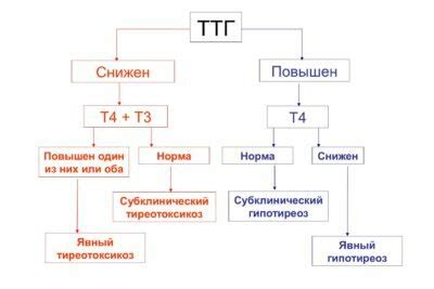 Причины возникновения сниженного ТТГ