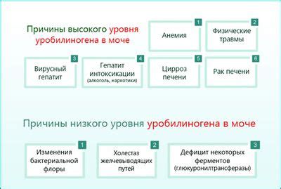 Причины возникновения уробилиногена 100 мкмоль/л