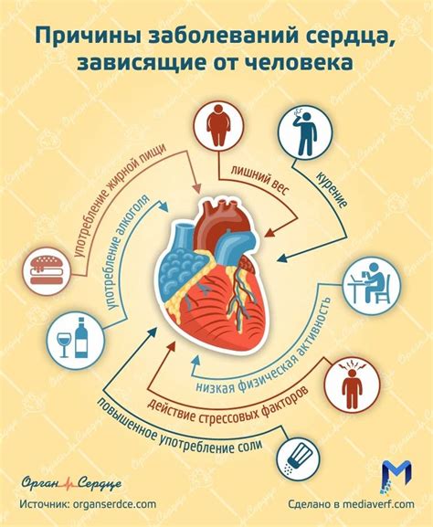 Причины заболевания мужского сердца и как их избежать