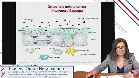 Причины и возможные последствия повышенной толщины слизистой оболочки ВЧП