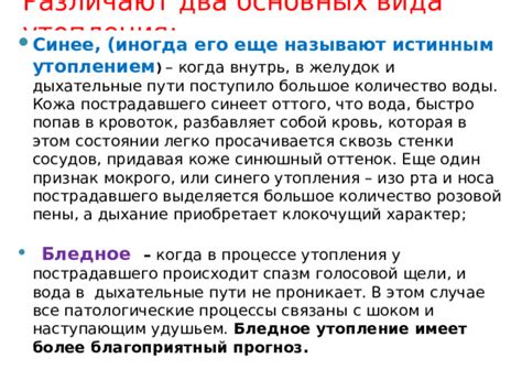 Причины и значение явления, когда большое количество пиявок проникает в организм: анализ сновидения и его толкование