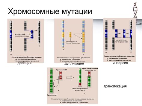 Причины и механизмы возникновения биологической мутации