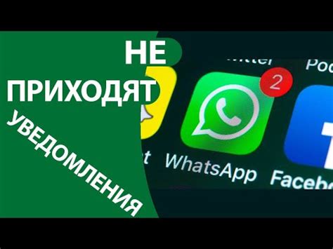 Причины и решения проблемы с обновлением WhatsApp