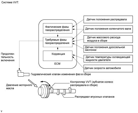 Причины и факторы вне референсного диапазона