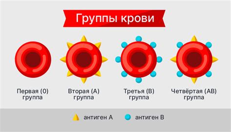 Причины и факторы смешения крови