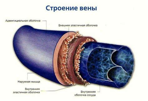 Причины коллапса вены