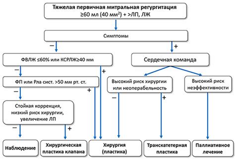 Причины митральной регургитации у подростков