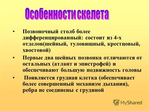 Причины наездов, связанные с образом жизни