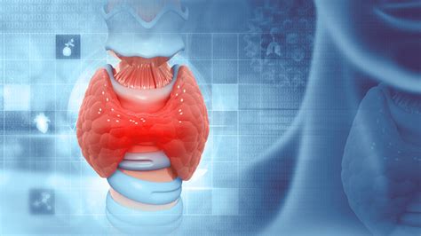 Причины нарушения функции щитовидной железы