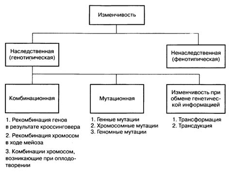 Причины ненаследственной изменчивости