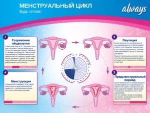 Причины нерегулярного цикла месячных у подростков