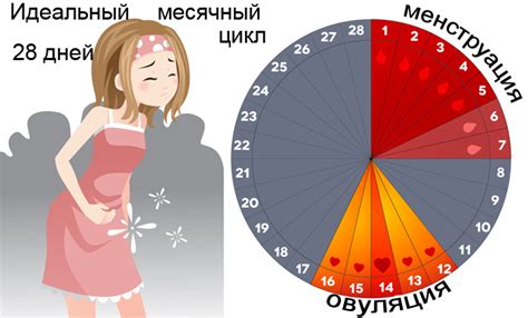 Причины нестабильных месячных циклов у женщин