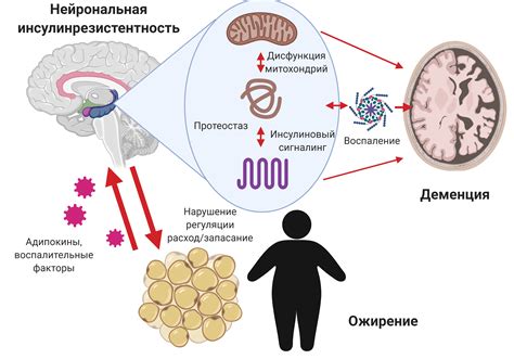 Причины нехватки ферментов