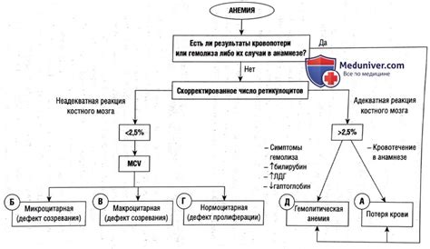 Причины низкого значения эритроцитов