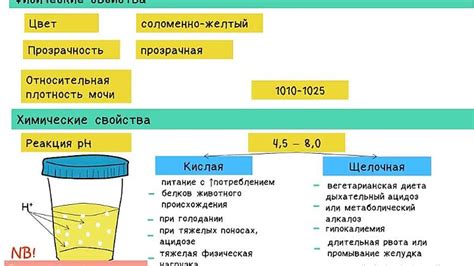 Причины низкого удельного веса в моче