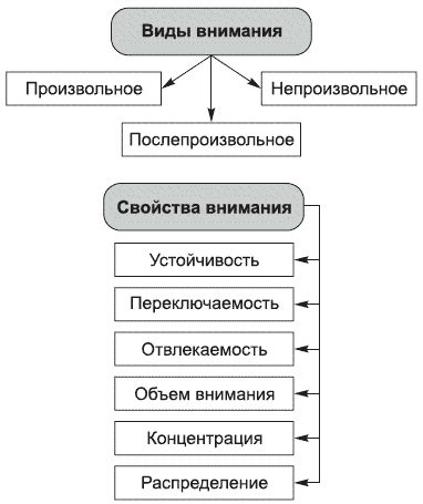 Причины обдела внимания